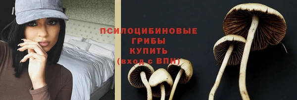 ПСИЛОЦИБИНОВЫЕ ГРИБЫ Абаза