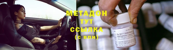 ПСИЛОЦИБИНОВЫЕ ГРИБЫ Абаза