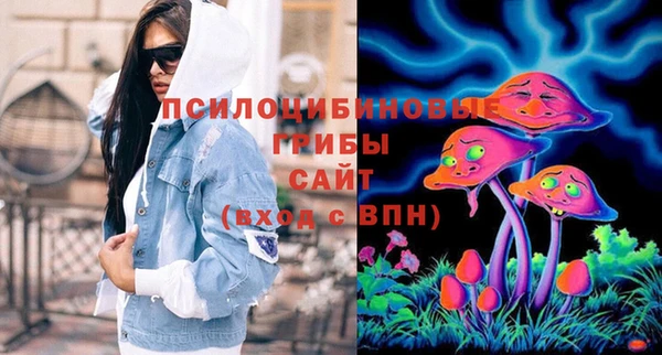 шишки Абинск