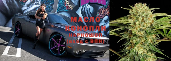 гашик Алексеевка