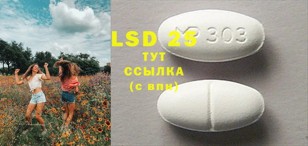 ПСИЛОЦИБИНОВЫЕ ГРИБЫ Абаза