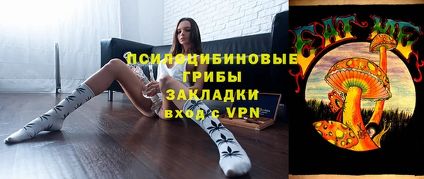 гашик Алексеевка
