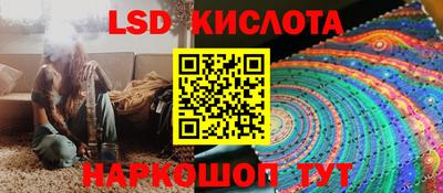 стафф Волгодонск