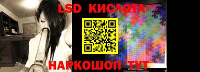 стафф Волгодонск