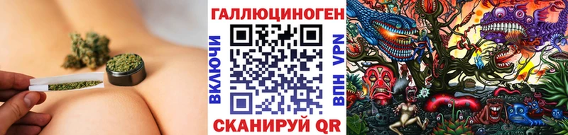 Галлюциногенные грибы прущие грибы  Норильск 