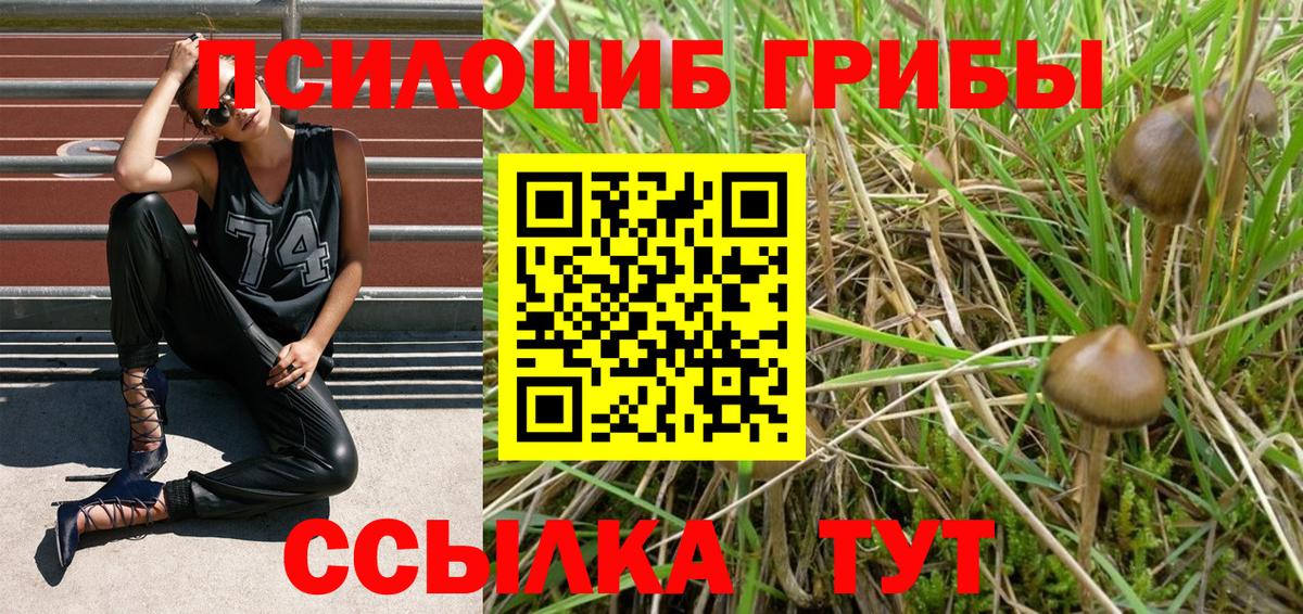 Галлюциногенные грибы прущие грибы Норильск